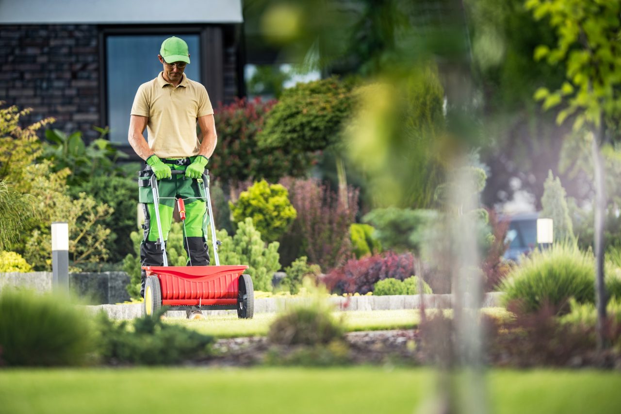 landscaper-spreading-fertilizer-on-lawn.jpg