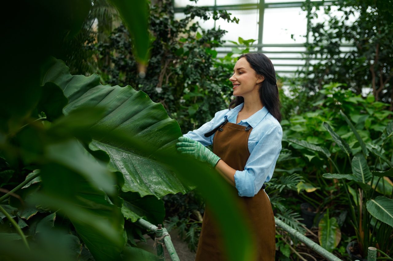 young-female-gardener-cutting-plant-growth-in-garden.jpg
